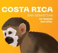 Costa Rica San Sebastian - stredné praženie (200 g, zrnková káva)