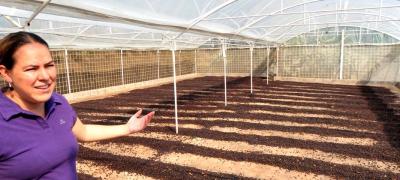 Káva - Costa Rica Las Lajas - svetlé praženie